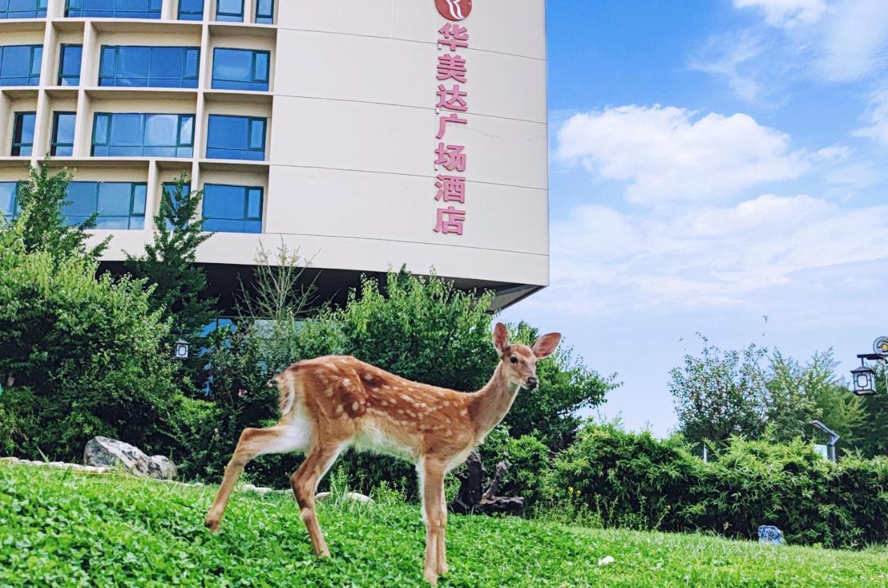 Ramada Plaza By Wyndham Taian Hotell Tai'an  Eksteriør bilde